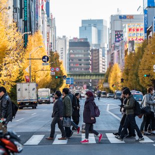 広尾、芝公園、アメ横、秋葉原など15