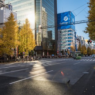 広尾、芝公園、アメ横、秋葉原など20