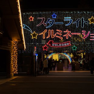 武蔵丘陵森林公園 スターライトイルミネーション1