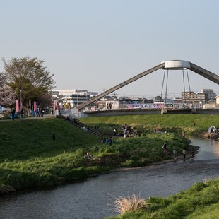 黒目川花まつり4