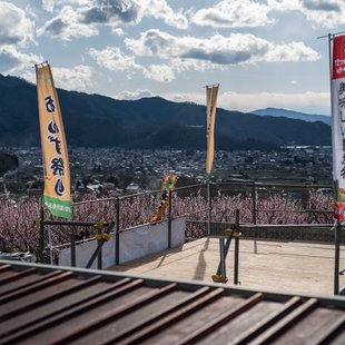 信州松代東条あんずまつり1