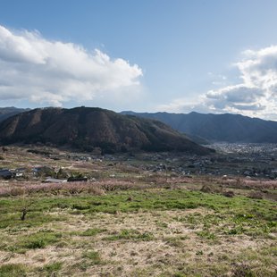 信州松代東条あんずまつり6