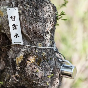 白馬五竜かたくり祭り7