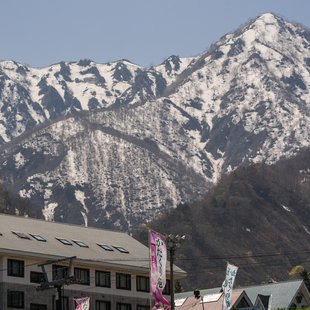 白馬五竜かたくり祭り11