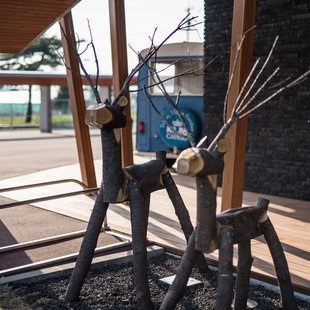 軽井沢発地市庭3