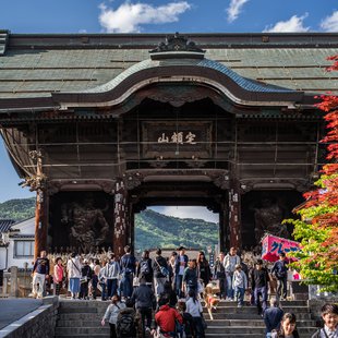 善光寺花回廊10