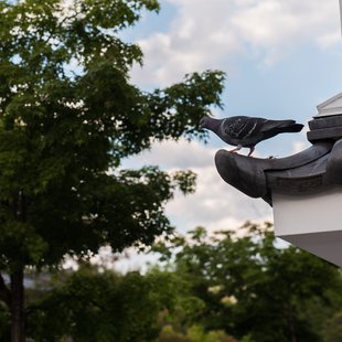 善光寺花回廊14