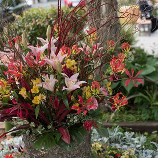 善光寺花回廊15