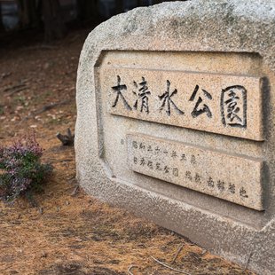 つくばフェスティバル3