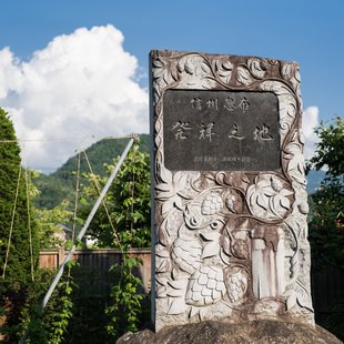 信州なかのバラまつり23