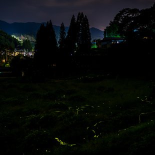 信州辰野ほたる祭り2