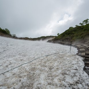 白馬八方尾根自然研究路2
