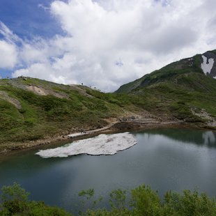 白馬八方尾根自然研究路6