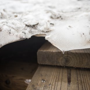 白馬八方尾根自然研究路8