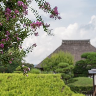 史跡足利学校跡とその周辺2
