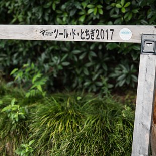 史跡足利学校跡とその周辺5