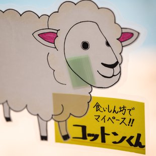 白いどうぶつ園1