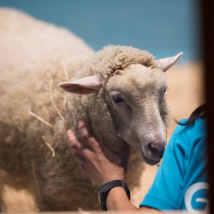 白いどうぶつ園2