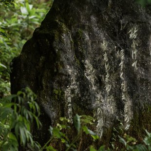 戸隠森林植物園10