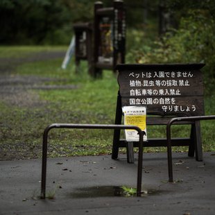 戸隠森林植物園11