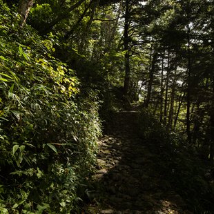 しらび平、千畳敷カール10