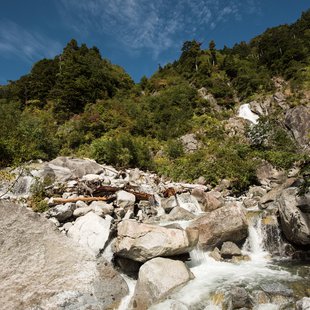 しらび平、千畳敷カール11