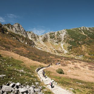 しらび平、千畳敷カール21