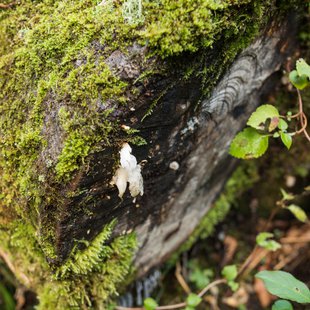 扇沢、黒部ダム16