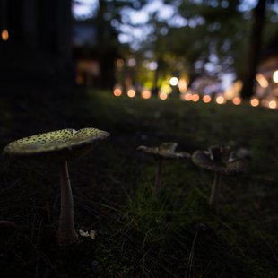 川中島古戦場まつり3