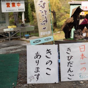 奥裾花渓谷、奥裾花自然園2
