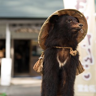奥裾花渓谷、奥裾花自然園3
