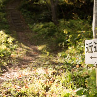 奥裾花渓谷、奥裾花自然園4