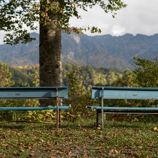 奥裾花渓谷、奥裾花自然園6