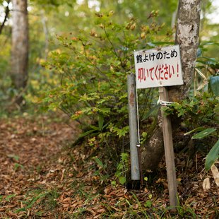 奥裾花渓谷、奥裾花自然園7