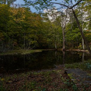 奥裾花渓谷、奥裾花自然園8