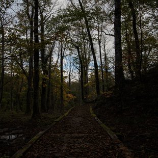 奥裾花渓谷、奥裾花自然園13