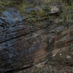 奥裾花渓谷、奥裾花自然園21