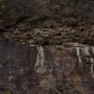 奥裾花渓谷、奥裾花自然園23