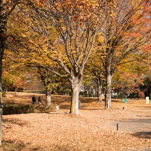 長野市内，発酵サミット1
