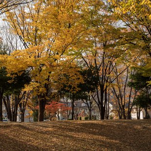 長野市内，発酵サミット5