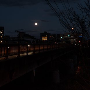 善光寺表参道イルミネーション1