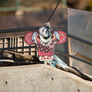 須坂市動物園21