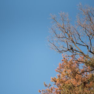 須坂市動物園32