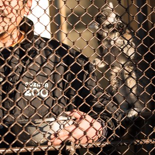 須坂市動物園36