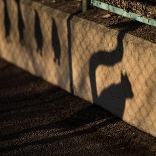 須坂市動物園38
