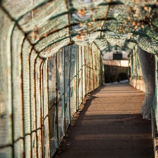 須坂市動物園39