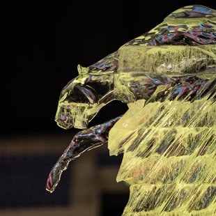 氷の彫刻展 in エムウェーブ3