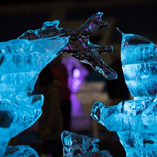 氷の彫刻展 in エムウェーブ4