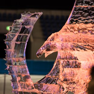 氷の彫刻展 in エムウェーブ5
