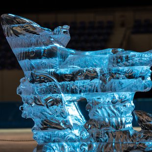 氷の彫刻展 in エムウェーブ6